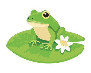 Green Frog on Water Lily Leaf with Blossom