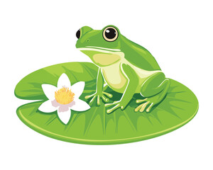 Single Frog on Lily Pad with White Blossom