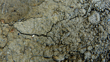 Terre sèche aride