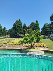 Lago con &aacute;rboles 