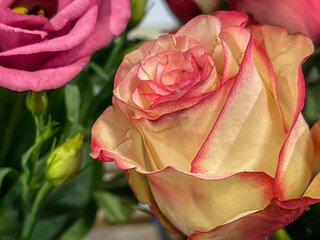 bright flower bouquet arrangement with rose flower head, yellow with red border petal, sales display