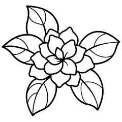 Gardenia Flower Cluster with Stem and Leaves Line Art Illustration