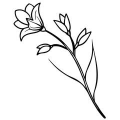 Hand Drawn Black Freesia Stem Buds Leaf flower