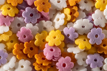 pile sprinkle decor banner. colorful round flower head shape, close up, macro, selective focus