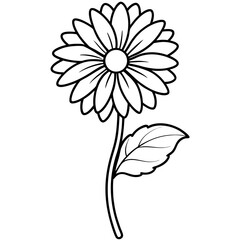 Line Art Blooming Gerbera Daisy Flower Single Stem Leaf Black White