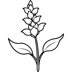 Line Art Snapdragon Flower Botanical Drawing Black White