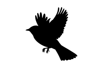 Obraz premium silhouette of a bird flying in the air