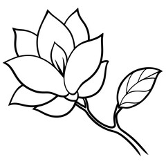 Simplified Magnolia Flower Line Drawing Black White