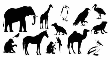 Collection of Black Silhouettes of Diverse Animals: Elephant, Giraffe, Penguin, Eagle, Ibis, Iguana, Horse, Camel, Pelican, Monkey, and Parrot