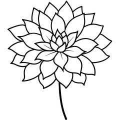 Single Dahlia Flower Line Art Drawing Black White Botanical 1
