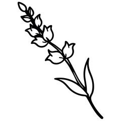 Single Snapdragon Branch Black Line Art Floral Illustration