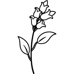 Snapdragon Stem Side View with Flower Buds Black Line Art