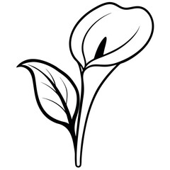 Black and White Calla Lily Line Art Floral Design Botanical Illustration