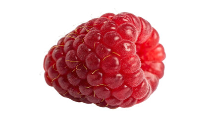 Raspberry isolated on a white background PNG. AI GENERATED.