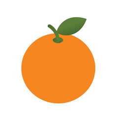 vector illustration of orange fruit