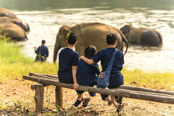 Rear view females and girl sitting on bench looking at elephant bathing in river