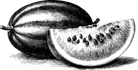 Vintage melon and watermelon slice engraving for retro design