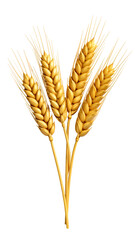 Golden Wheat Stalks with Ears Ready for Harvesting in Agriculture