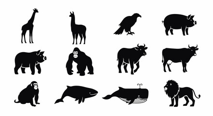Fototapeta premium Majestic Black Silhouette of a Roaring Lion, Isolated on White