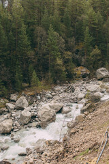 Landscape of a fast-flowing mountain river in a pine forest. Large stones in the river. Elbrus region