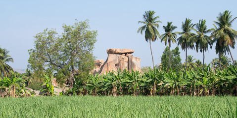 Rock formation, boulders of Hampi, coconut trees, banana plantation and rice field, South India