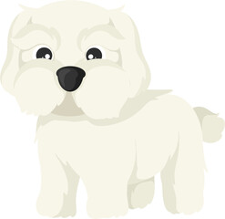 illustration maltese dog