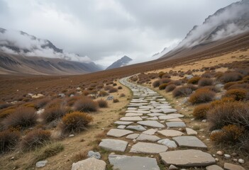 Through Barren Landscape Under Overcast Sky