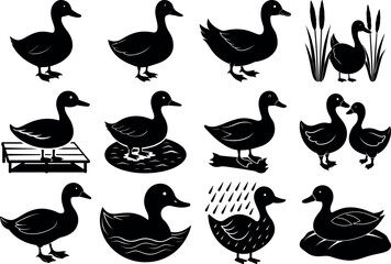 Photo of silhouetted ducks in various poses isolated on transparent background