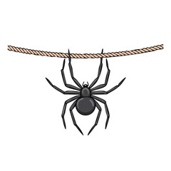 Obraz premium The black spider descends and ascends on a rope,insect, predator, web, spider, animal, black, scarey, spider's web, fauna, fear, festive, horror, monster, party, creepy, 