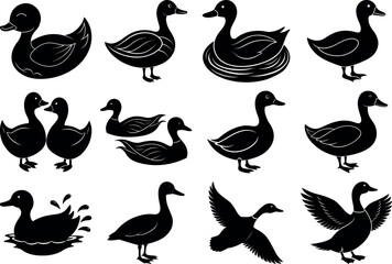 Photo of a set of duck silhouettes isolated on transparent background