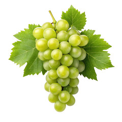 bunch of green grapes