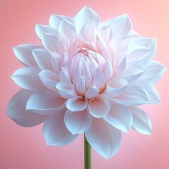 Fototapeta premium Stunning pink lotus flower blooms against a soft pastel background with delicate petals