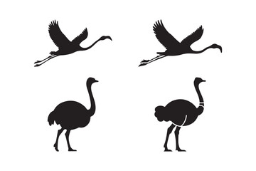 Black silhouette of flamingos in flight and ostriches standing