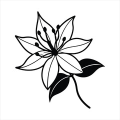 Black and White Illustration of a Detailed Floral Outline Design