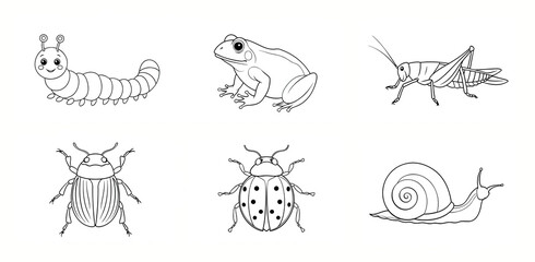 set of outline drawings of insects and animals, for coloring or educational visual aid