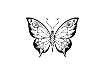 butterfly vector illustration
