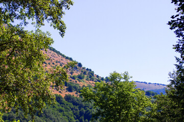 Obraz premium Scatti Vari