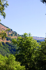 Obraz premium Scatti Vari