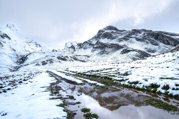 an image of the early spring thaw with a large puddle in the foreground reflecting the snow-capped mountaintop in the background