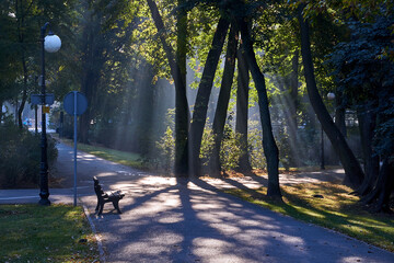 Bench lit by sun rays early in the morning in a park in the city of Poznan