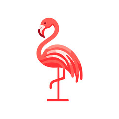 Vibrant flamingo standing gracefully on one leg against a minimalistic white background