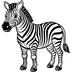 Obraz premium zebra vector illustration