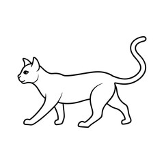 vector illustration of a cat