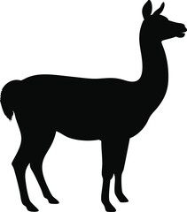 Silhouette of a black llama standing profile view against a white background vector illustration