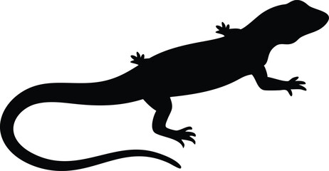 Silhouette of a lizard on white background simple and artistic graphic design animal wildlife