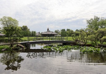 The bridge in the park on a sunny day.