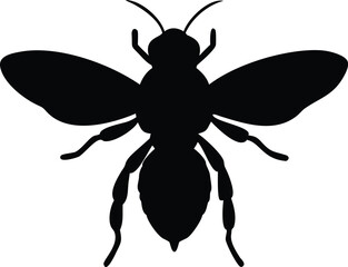 Silhouetted illustration of a honey bee insect black and white graphic design element