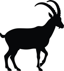 Striking black silhouette of a majestic mountain ibex walking against a white background
