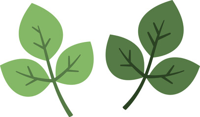 Green Three-Leaf Clover: Luck, Nature & Shamrock Icon