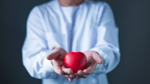 A healthcare professional in a white coat gently holds a red heart model in both hands, symbolizing cardiac care, heart health awareness, medical compassion, and support in cardiovascular wellness.